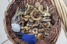 Саратовец на Кумысной поляне нашел килограммовый белый гриб
