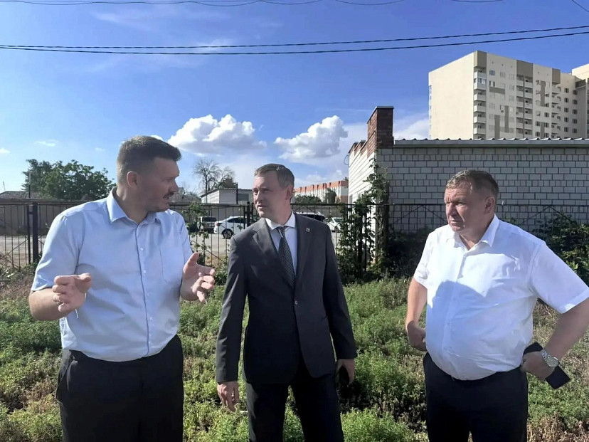 В Энгельсе появится первая площадка для выгула собак  